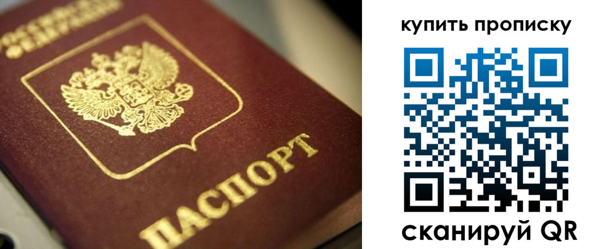 прописка поиск в Светлогорске