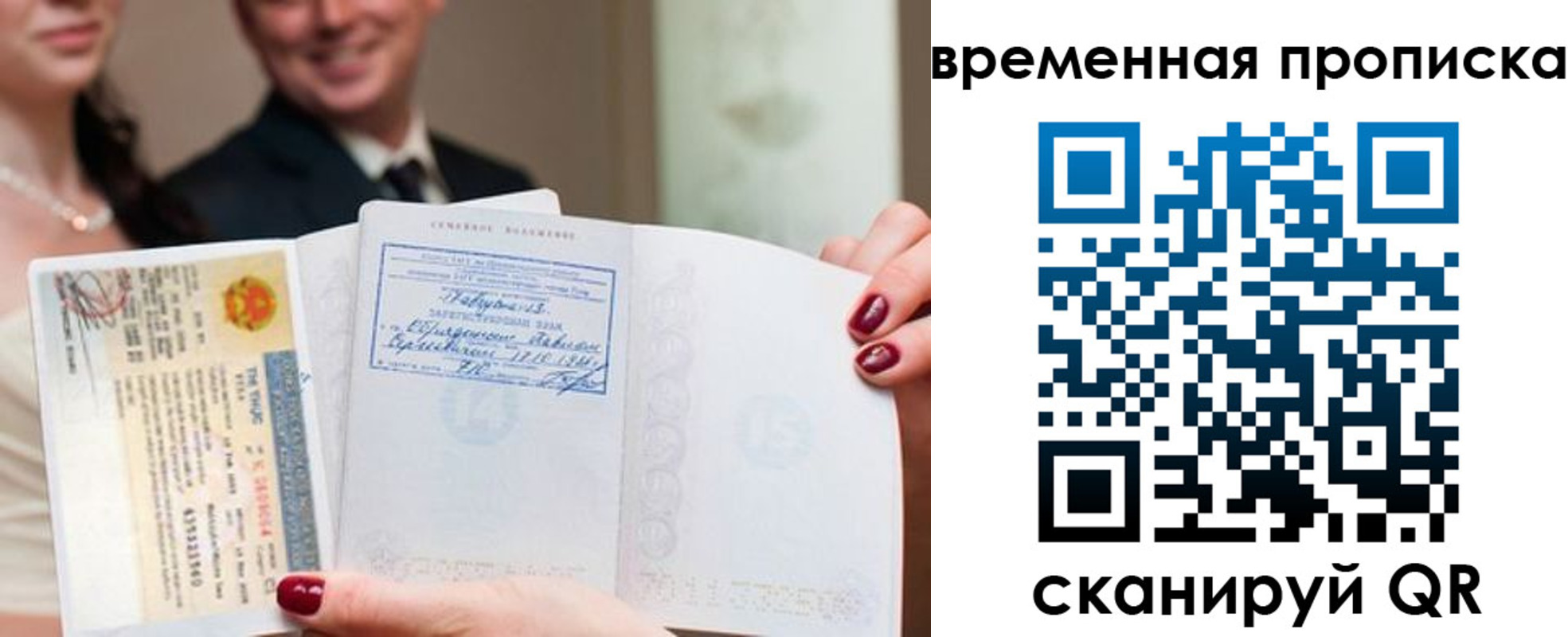 прописка поиск в Светлогорске